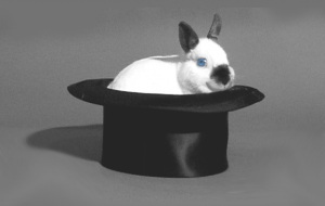 bunny in top hat